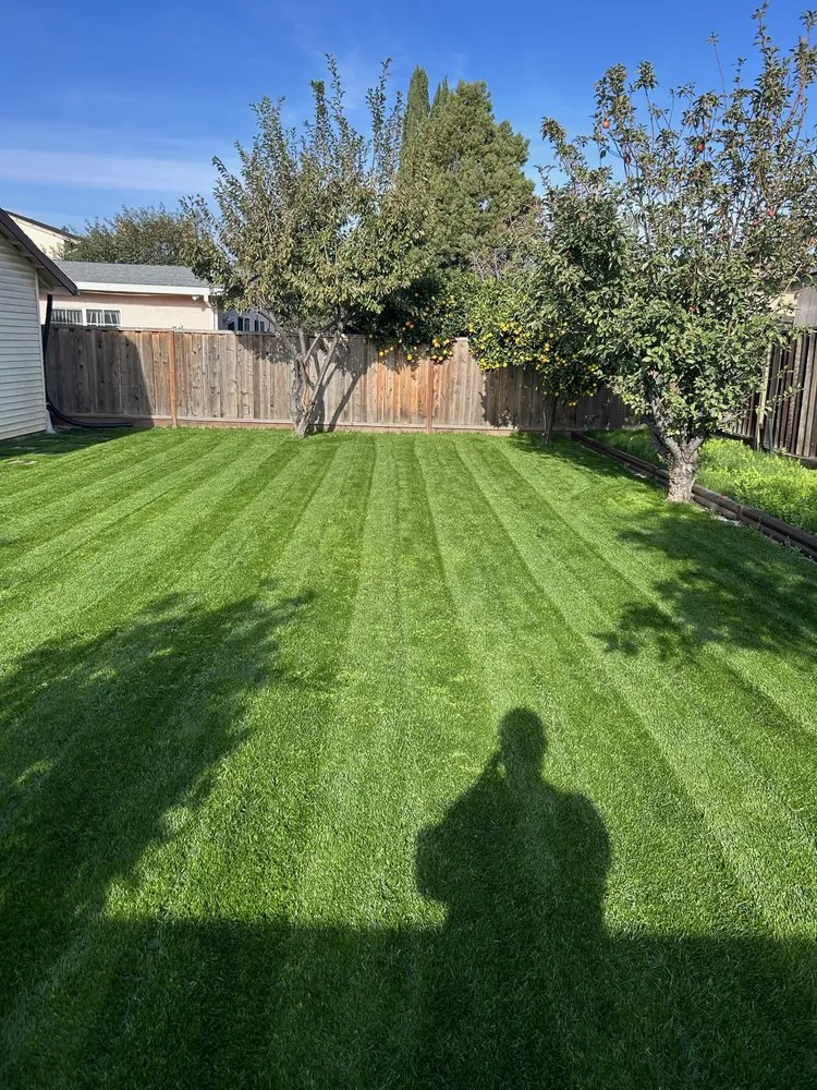 Trusted landscaping services experts serving San Jose, CA - Strong Landscaping & Design