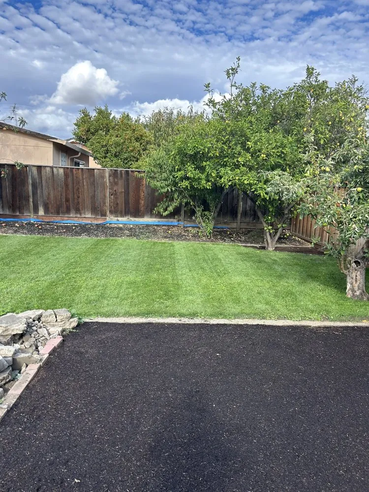 Trusted garden landscaping experts serving San Jose, CA - Strong Landscaping & Design
