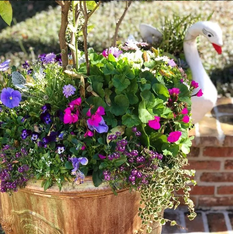 Reliable garden landscaping for outdoor upgrades across Houston, TX - Strong Landscaping