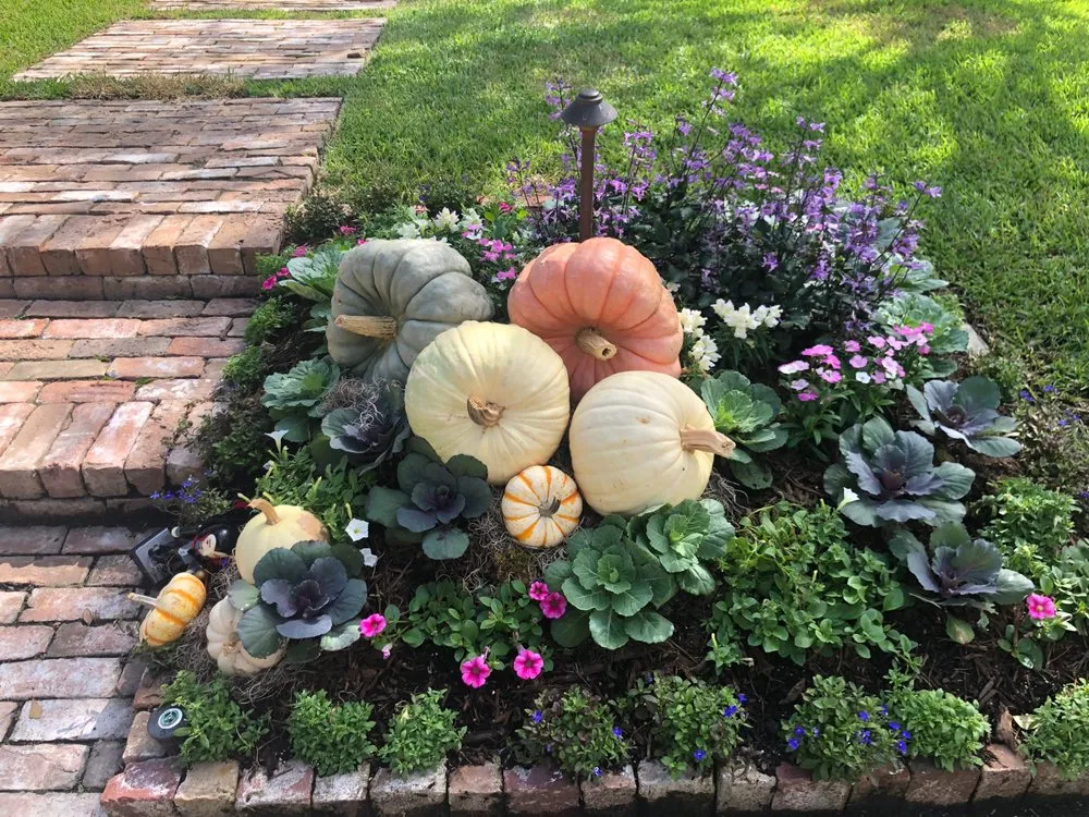 Trusted yard cleanup service in Houston, TX by Strong Landscaping