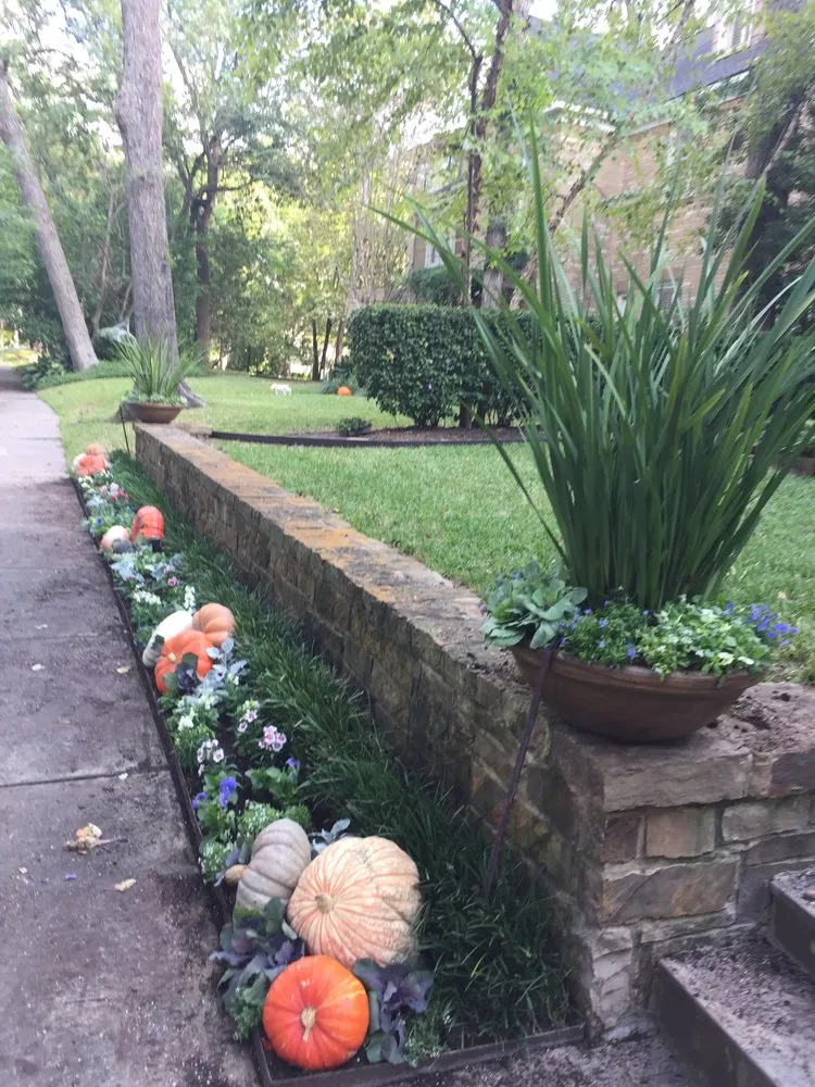 Top-rated garden landscaping for year-round maintenance across Houston, TX - Strong Landscaping