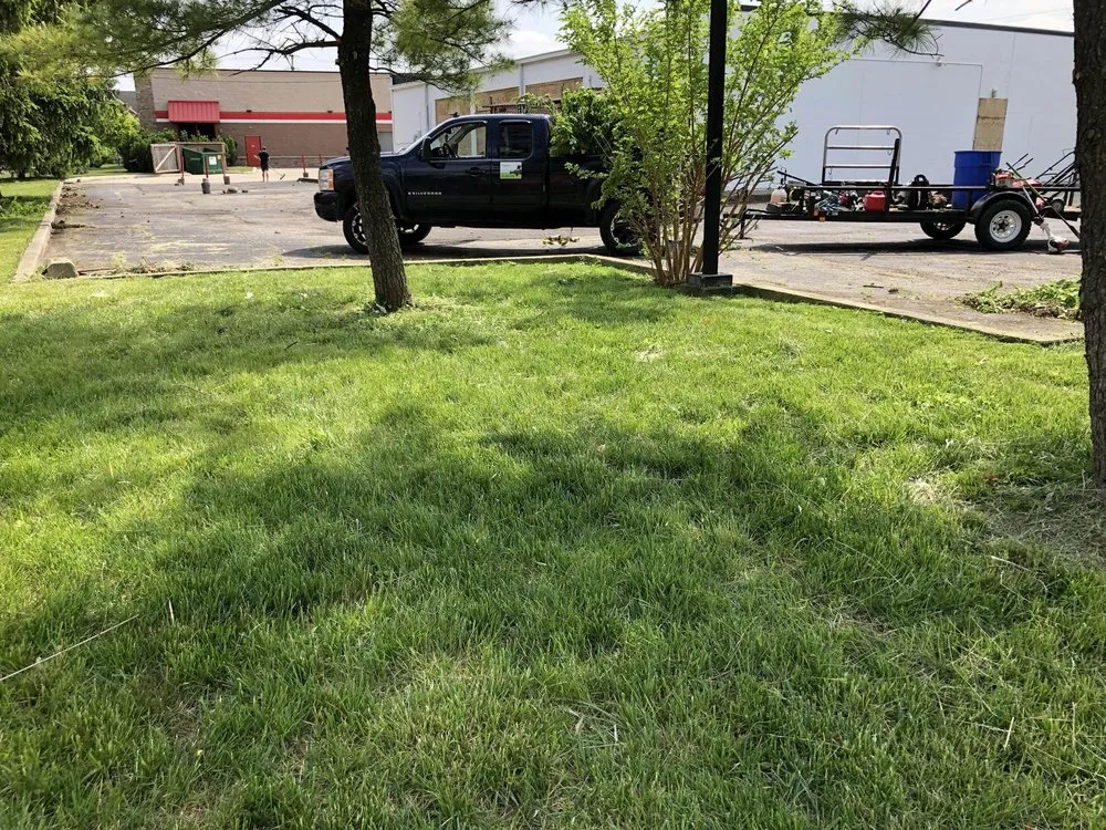 Affordable yard cleanup service in Columbus, OH by Strong Lawn Care
