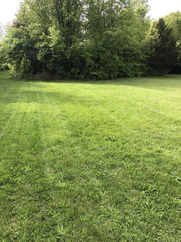 Affordable landscape installation in Columbus, OH by Strong Lawn Care