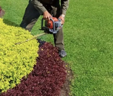 Strong Lawn Care Logo