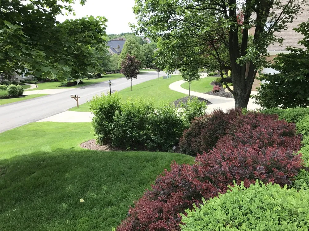 Affordable landscaping services in Freedom, PA - Strong Lawns