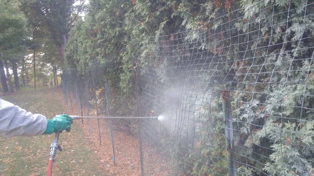 Custom residential landscaping in Freedom, PA by Strong Lawns