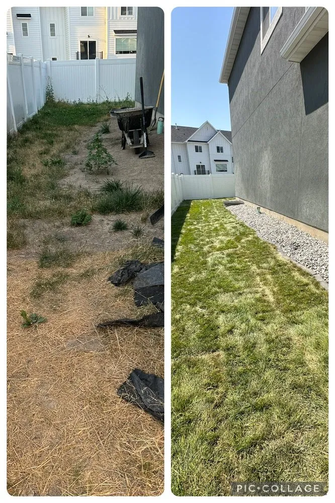 Affordable yard cleanup service near you in Murray, UT by Strong Mountain Landscaping