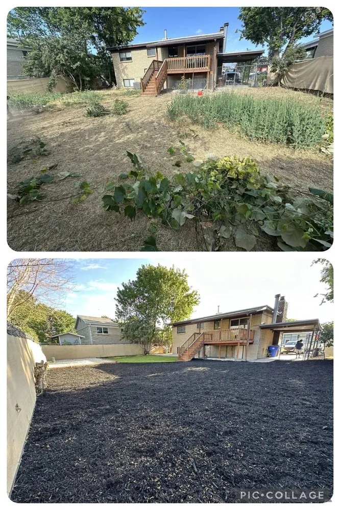 Top-rated landscape design in Murray, UT by Strong Mountain Landscaping