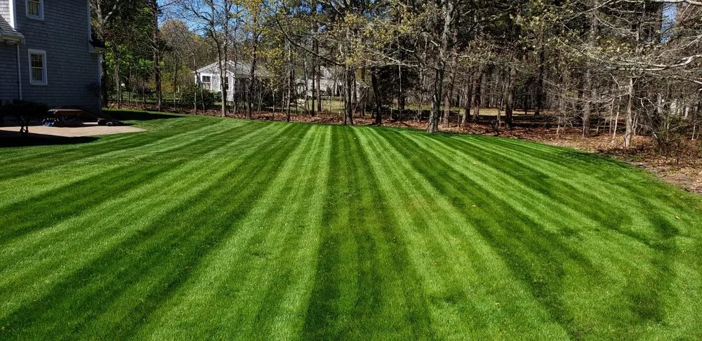 Professional yard cleanup service in Barnstable, MA - strong roods landscaping