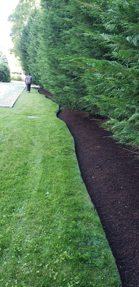 Trusted yard cleanup service near you in Barnstable, MA by strong roods landscaping