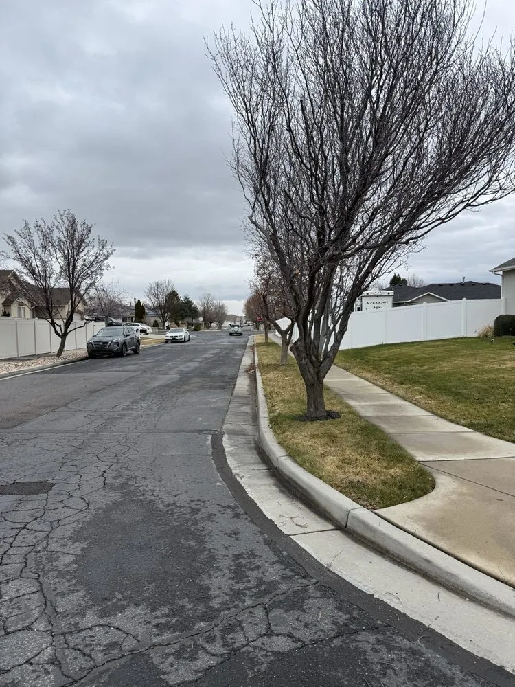 Professional landscaping services in West Jordan, UT by Strong Roots