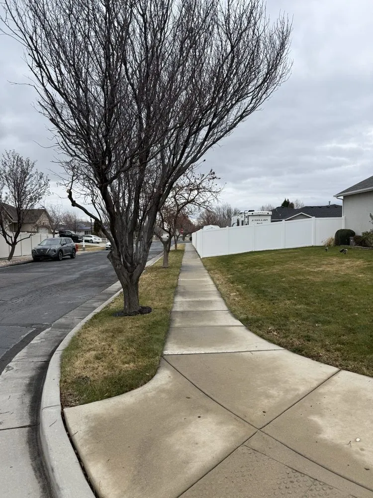 Professional residential landscaping near you across West Jordan, UT - Strong Roots