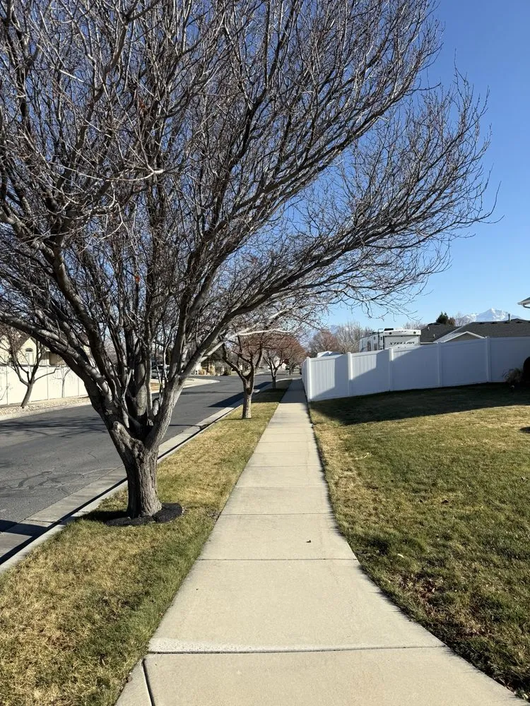 Reliable landscaping services for homes in West Jordan, UT by Strong Roots