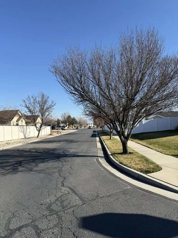 Expert residential landscaping in West Jordan, UT by Strong Roots