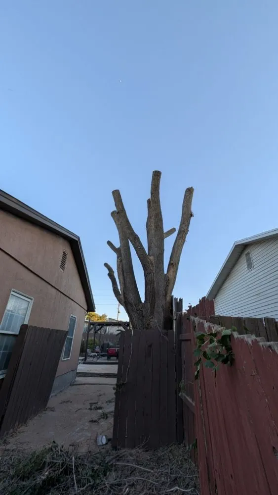 Trusted landscaping services experts serving West Jordan, UT - Strong Roots