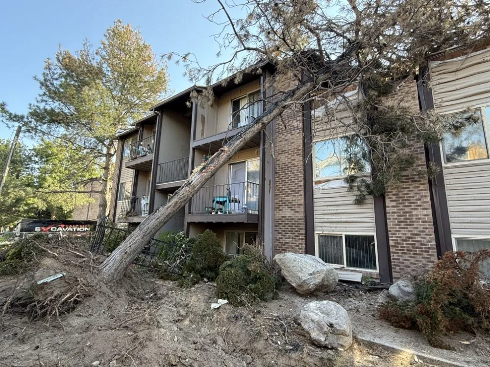 Trusted landscaping services for homes in West Jordan, UT by Strong Roots