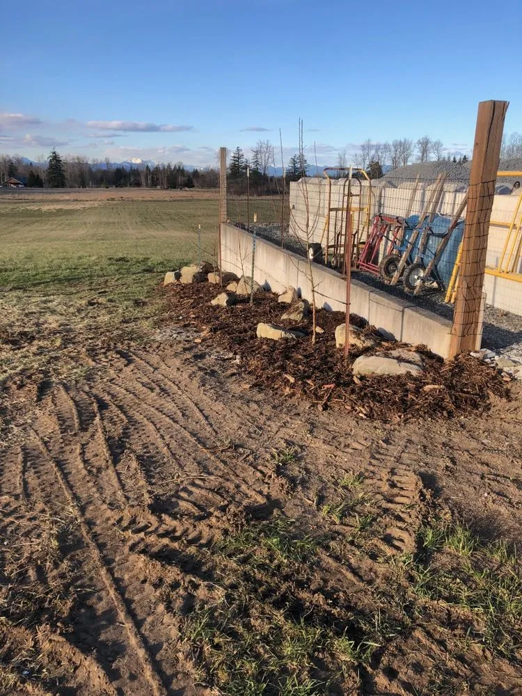 Trusted yard cleanup service for outdoor upgrades in Bellingham, WA by Strong Stems