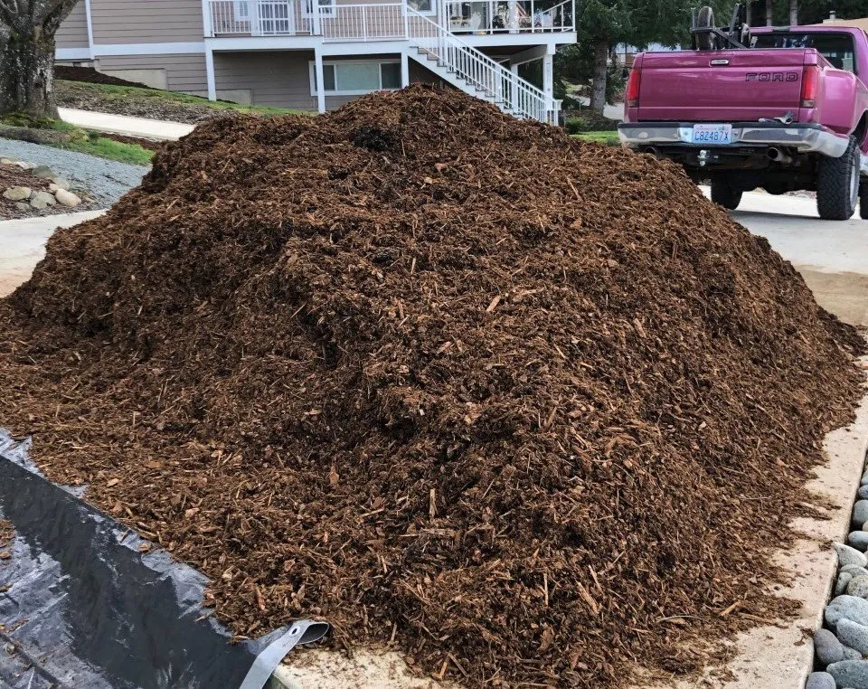 Top-rated outdoor landscaping in Bellingham, WA - Strong Stems