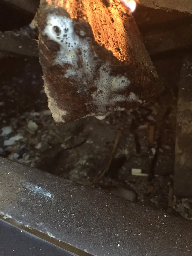 Professional yard maintenance for homes in Alexandria, VA by Strong Students Lawn Care