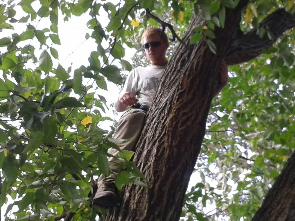 Trusted lawn mowing service with custom design in Alexandria, VA by Strong Students Lawn Care