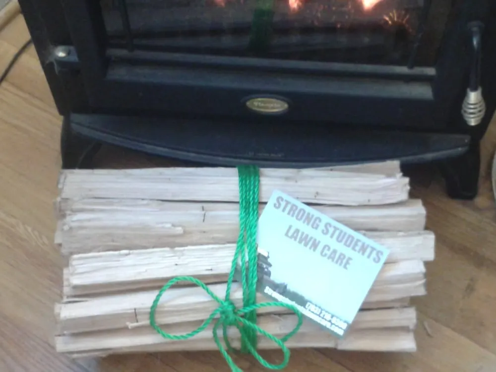 Professional lawn mowing service experts serving Alexandria, VA - Strong Students Lawn Care