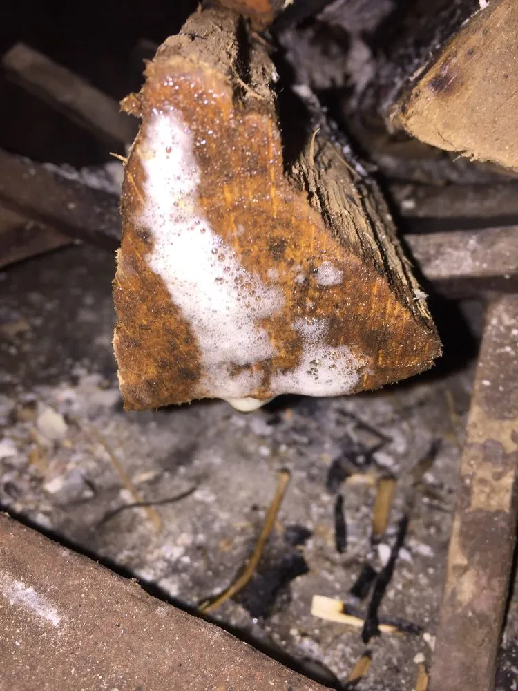 Expert garden landscaping in Alexandria, VA by Strong Students Lawn Care