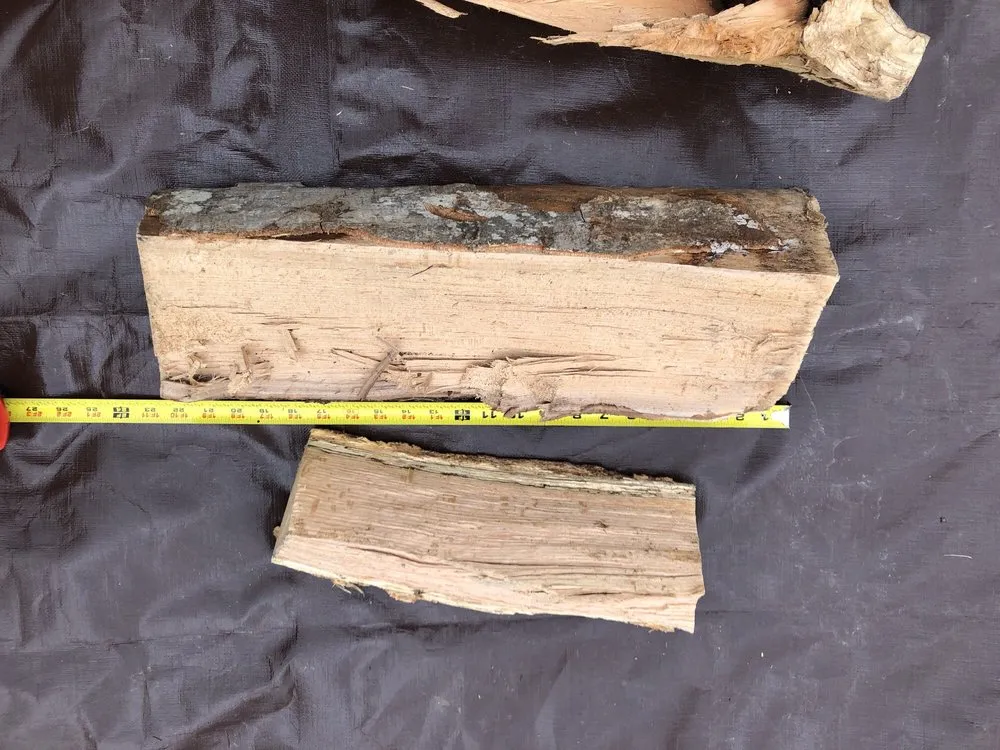 Trusted yard maintenance experts serving Alexandria, VA - Strong Students Lawn Care