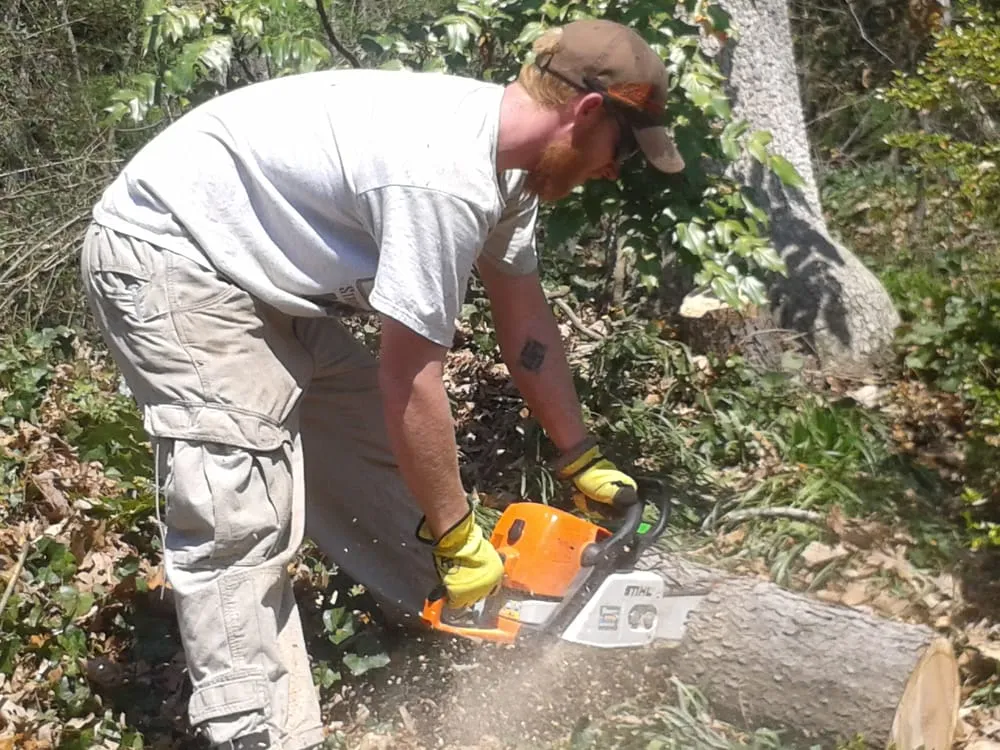 Expert residential landscaping in Alexandria, VA by Strong Students Lawn Care