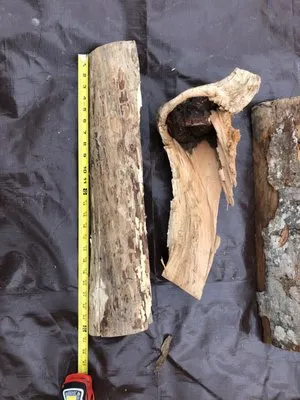 Strong Students Lawn Care