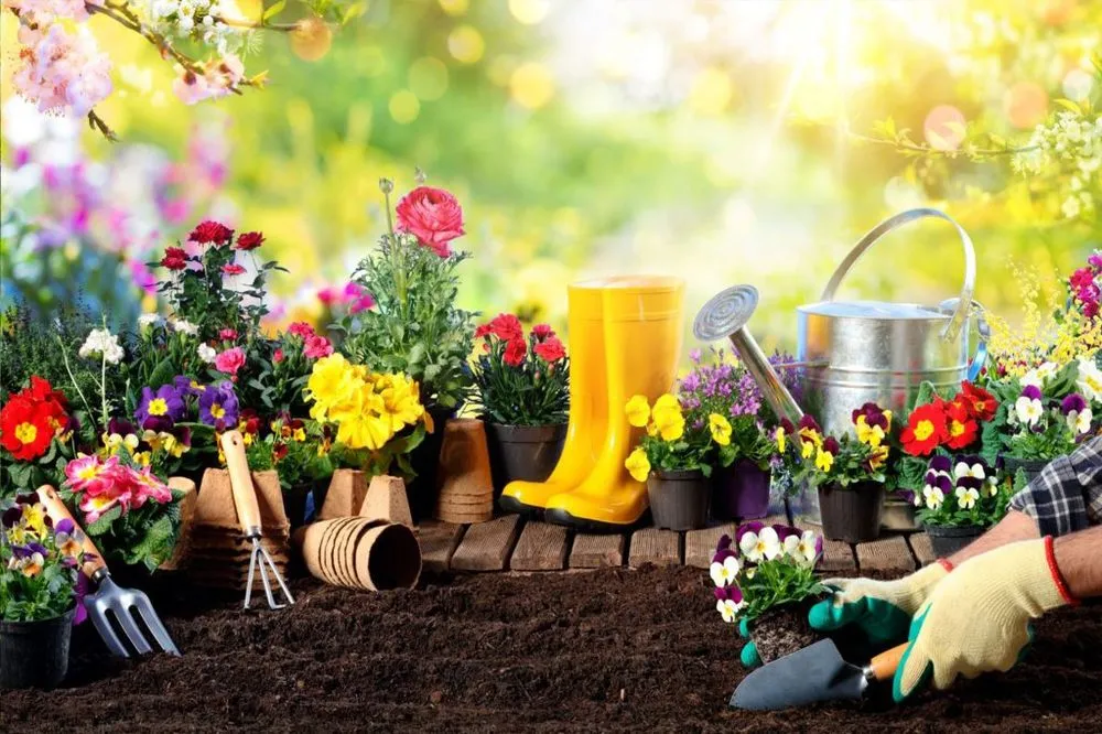 Reliable landscape installation in Tyler, TX - Strong Tower Lawn and Landscape Service