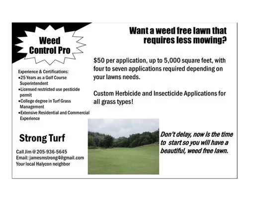 Strong Turf Logo