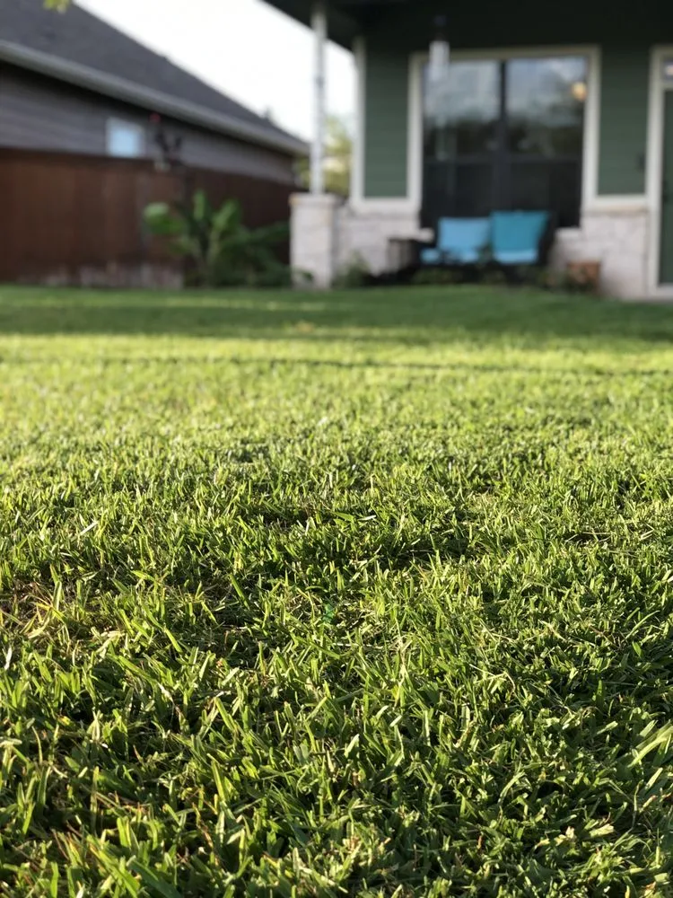 Local yard maintenance in College Station, TX - StrongGrounds