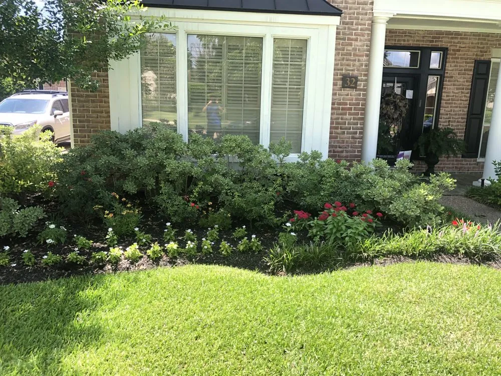 Reliable yard cleanup service in College Station, TX by StrongGrounds