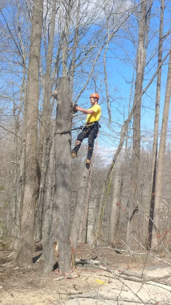 Custom yard cleanup service in Manassas, VA - Stronghold United