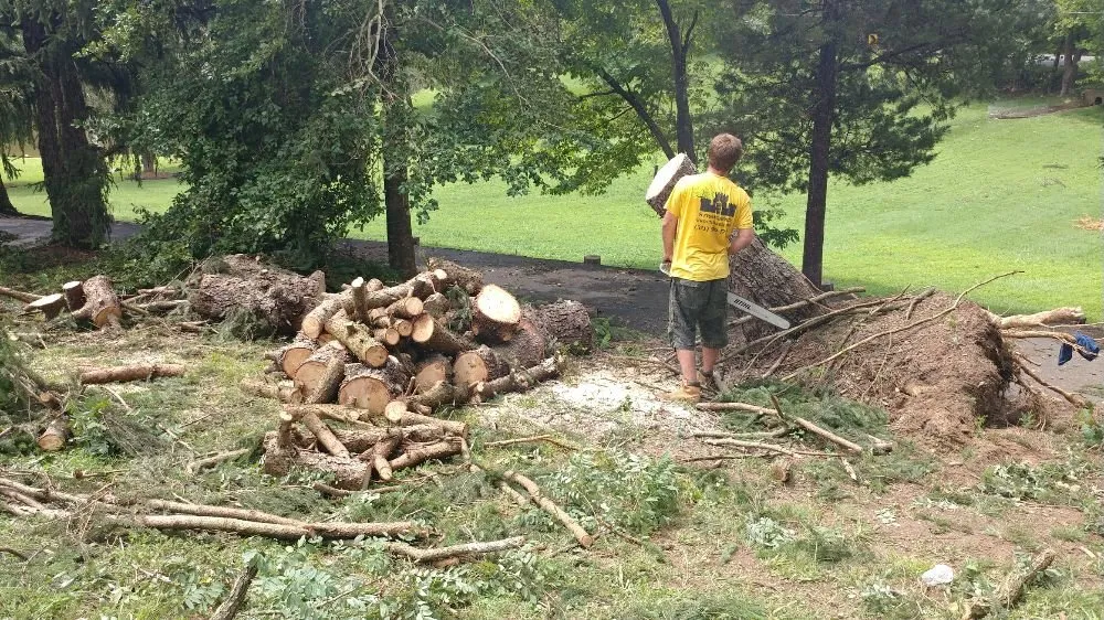 Reliable residential landscaping experts serving Manassas, VA - Stronghold United