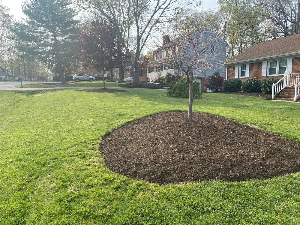 Affordable lawn care service experts serving Chesterfield, VA - StrongScape Lawn Amenities