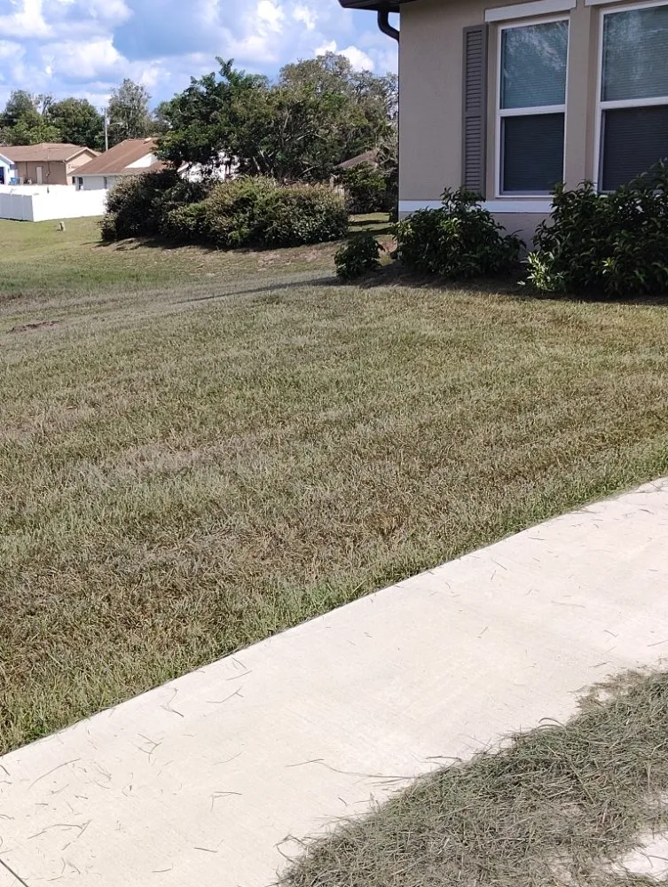 Professional outdoor landscaping for homes across Brooksville, FL - Strothers Landscaping