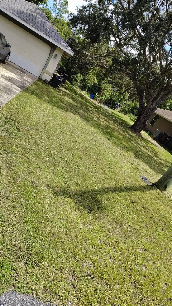 Trusted residential landscaping near you across Brooksville, FL - Strothers Landscaping