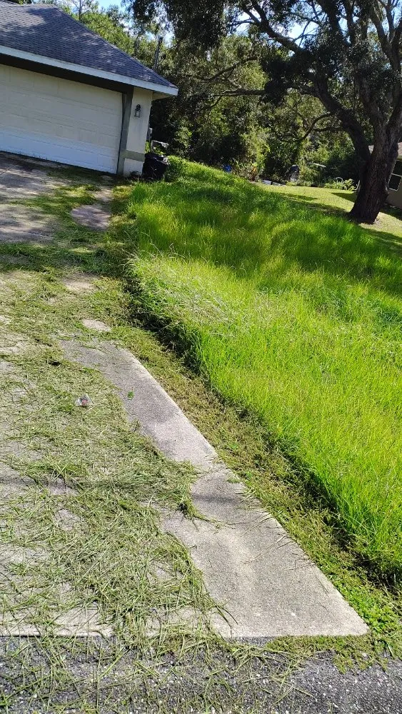 Expert residential landscaping in Brooksville, FL by Strothers Landscaping