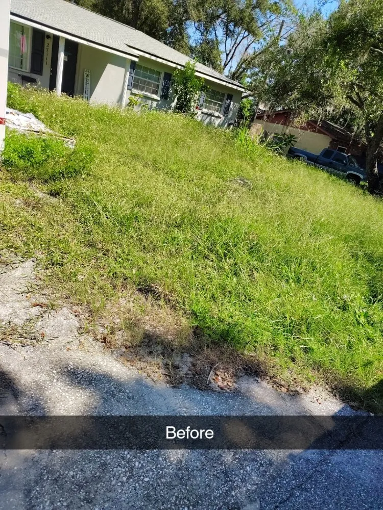 Professional outdoor landscaping for year-round maintenance in Brooksville, FL by Strothers Landscaping