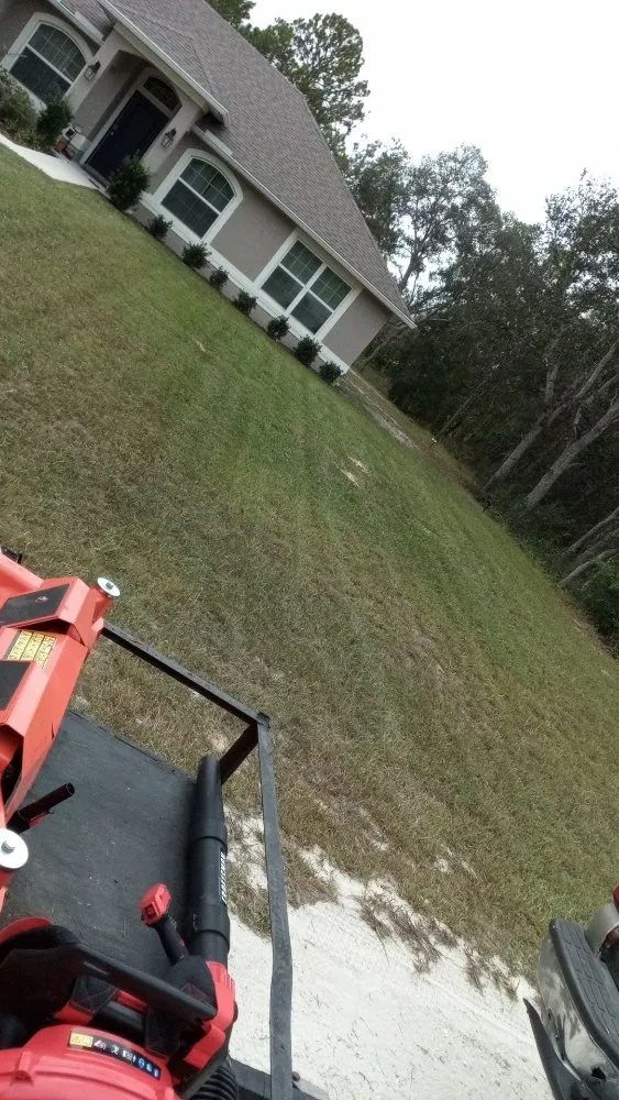 Top-rated yard cleanup service in Brooksville, FL by Strothers Landscaping