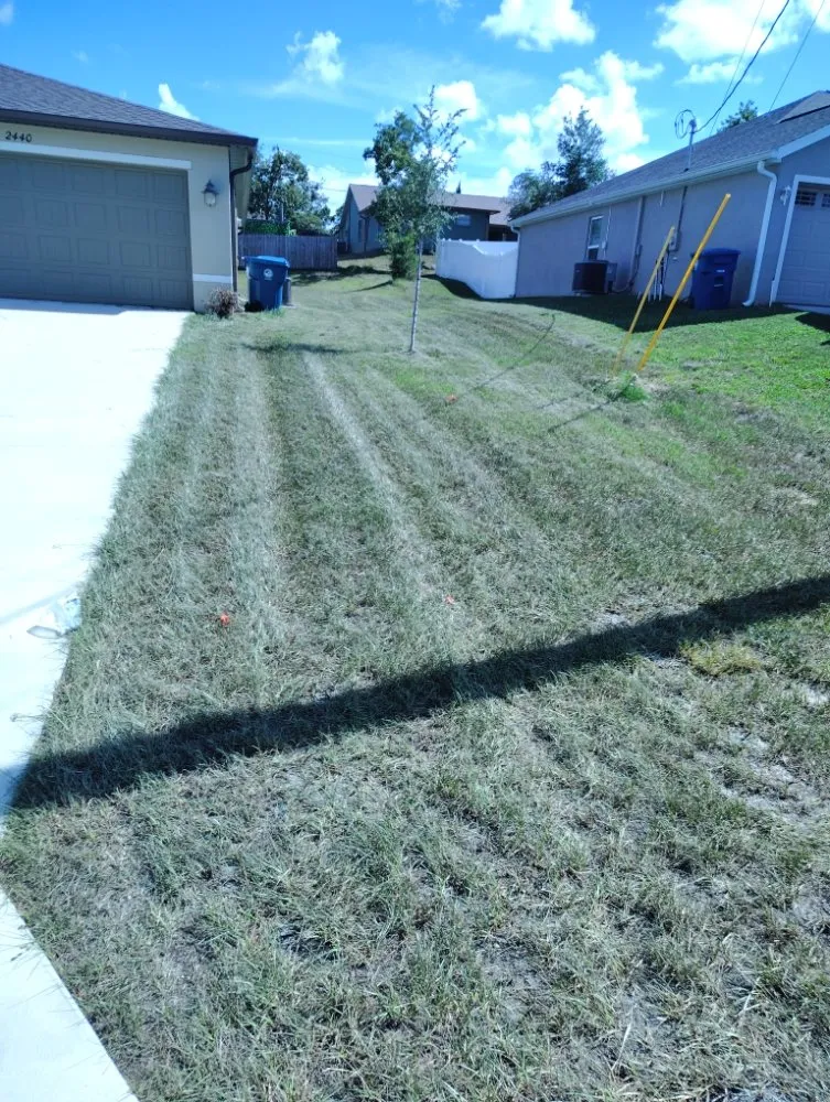 Expert garden landscaping in Brooksville, FL by Strothers Landscaping