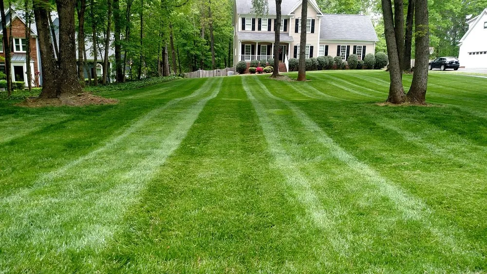 Affordable yard cleanup service with custom design in Walnut Cove, NC by Stroud Property Maintenance