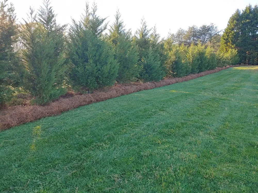 Top-rated landscaping services in Walnut Cove, NC by Stroud Property Maintenance