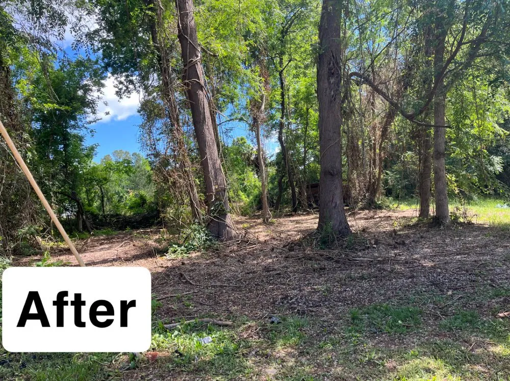 Professional yard maintenance with custom design across Newberry, SC - Stroud’s Lawn Service