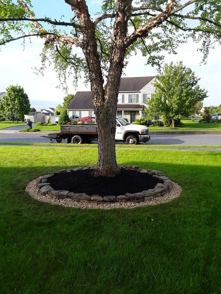 Expert yard maintenance for homes in Mount Wolf, PA by Strouse Excavating and Landscaping