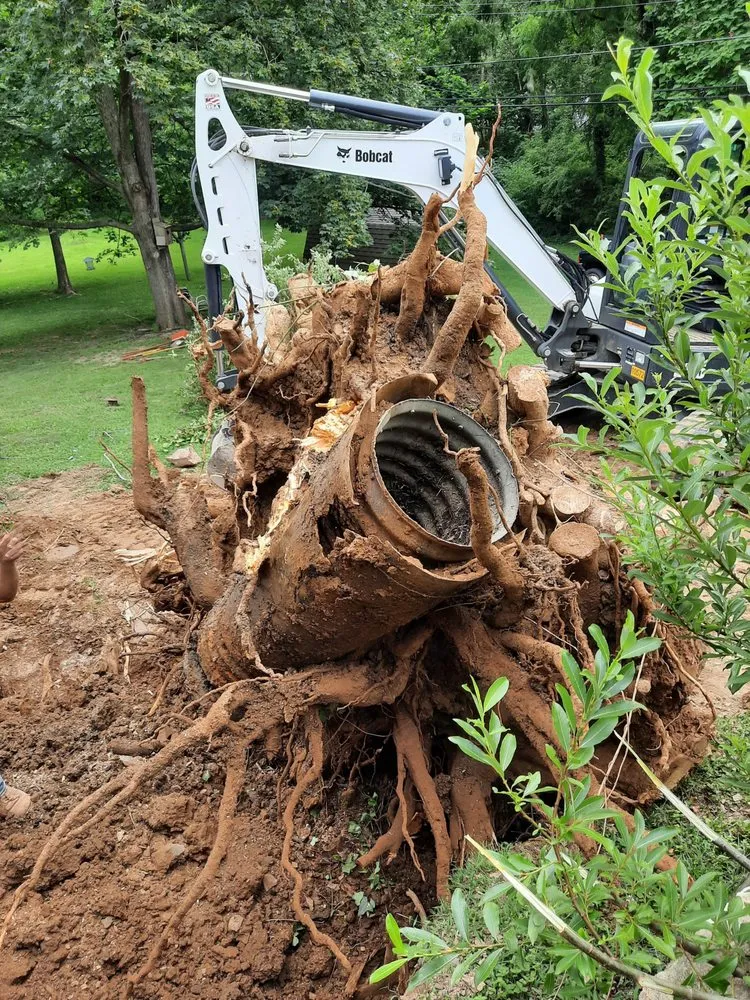 Local lawn care service for year-round maintenance in Mount Wolf, PA by Strouse Excavating and Landscaping