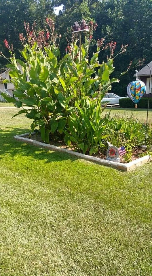 Custom lawn mowing service for homes across Newnan, GA - Strozier Lawn Care Services