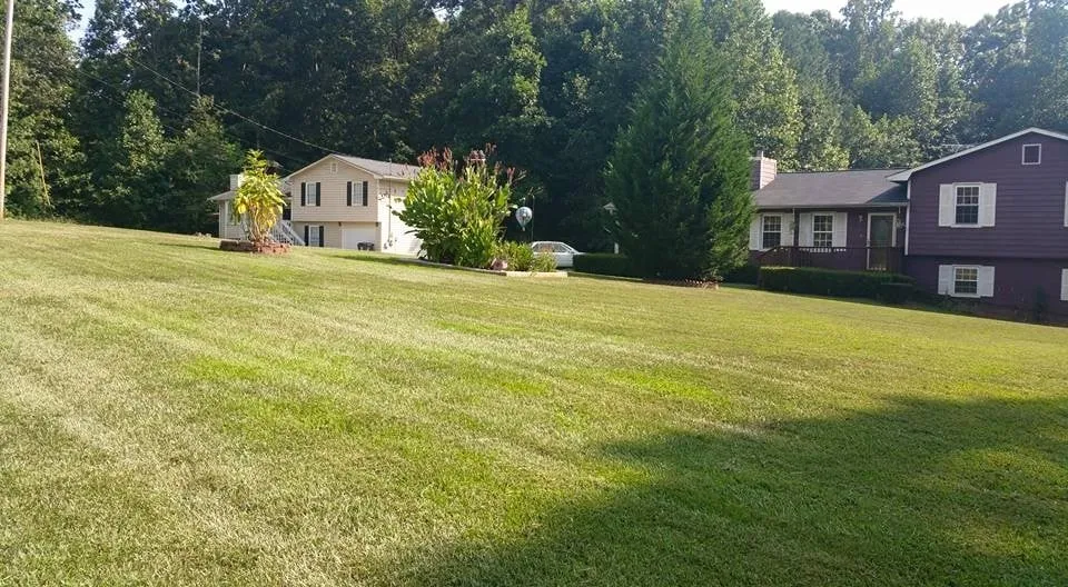 Reliable landscape installation for year-round maintenance in Newnan, GA by Strozier Lawn Care Services