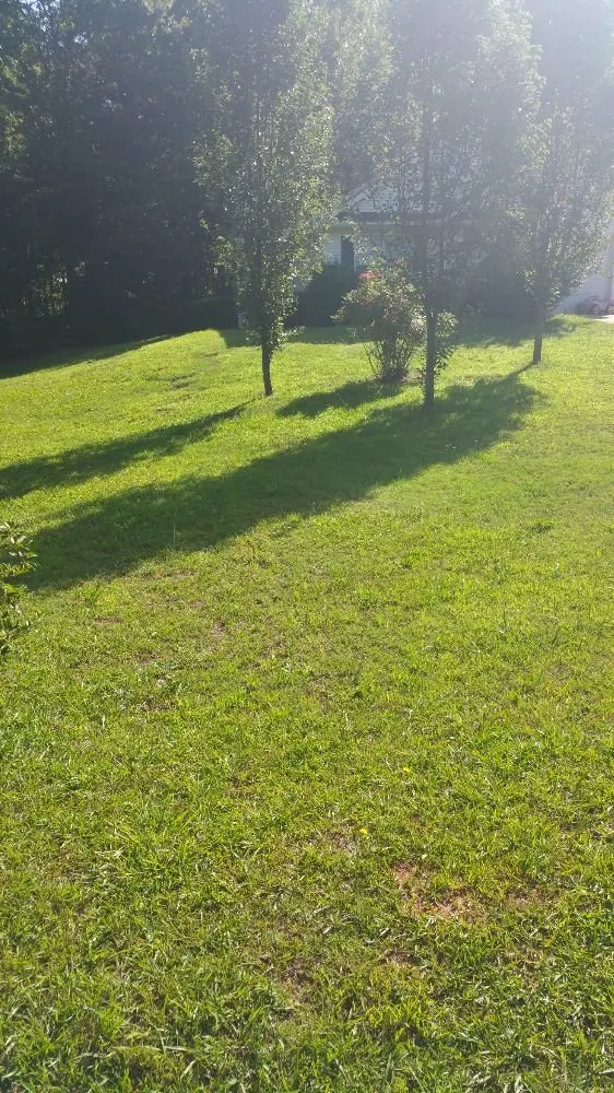 Top-rated landscape installation experts serving Newnan, GA - Strozier Lawn Care Services